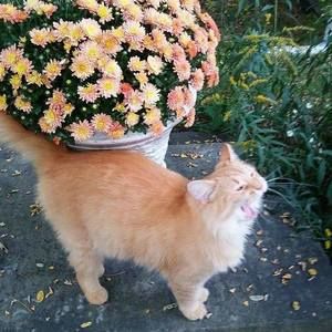 Meet your Posher, Edward